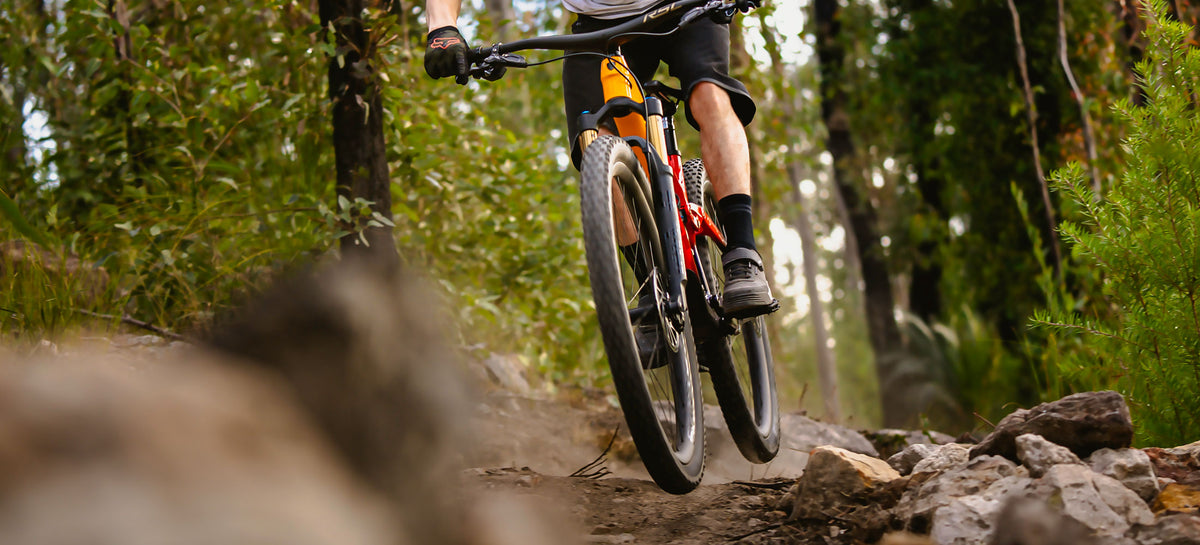 Mountain Bikes Richmond Cycles